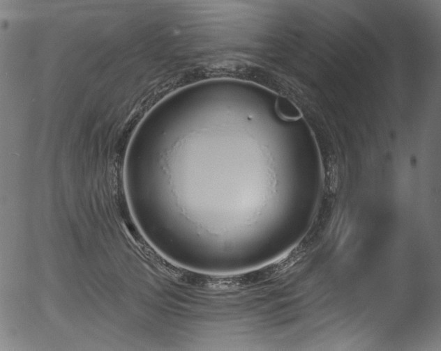 X0000056370753200508291400