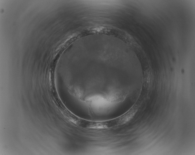 X0000056370754200508291400