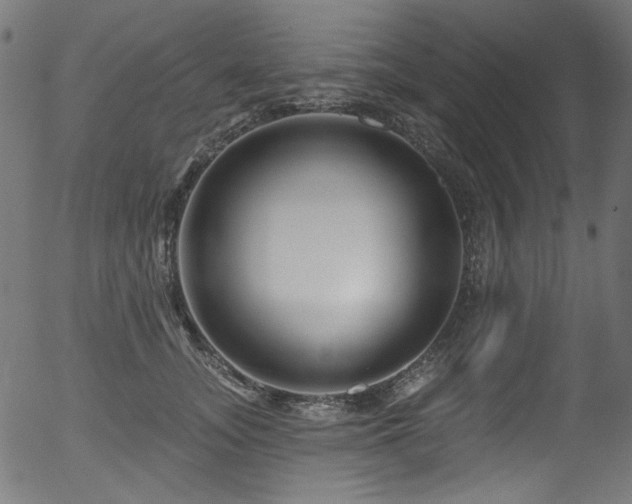 X0000056370755200508291400