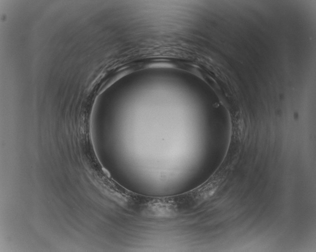 X0000056370756200508291400