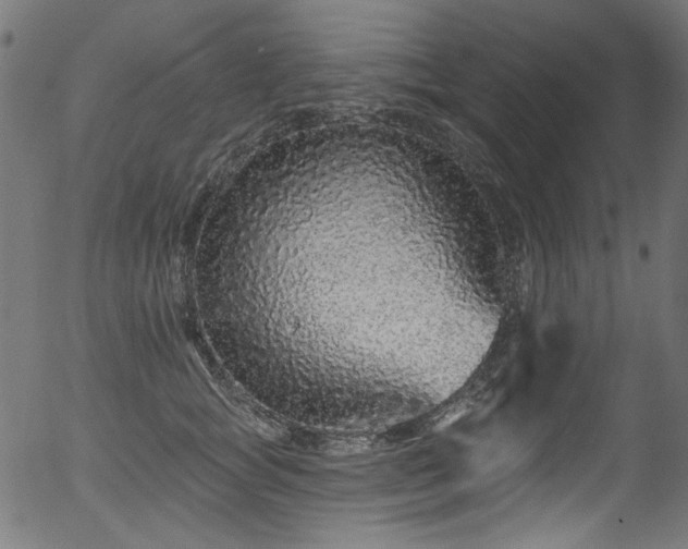 X0000056370757200508291400