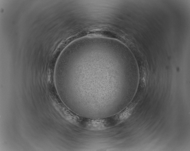 X0000056370758200508291401