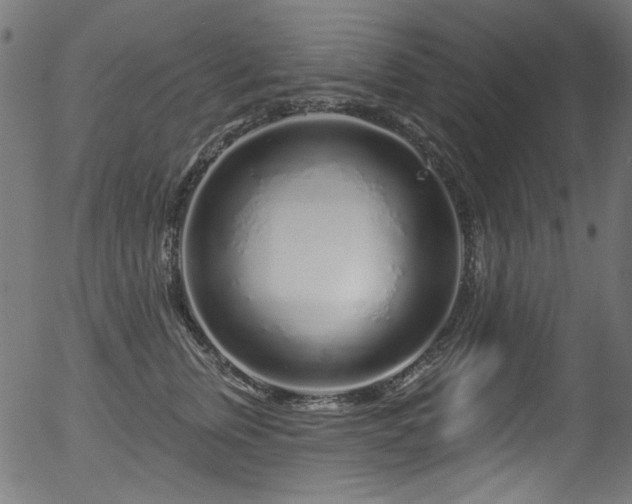 X0000056370759200508291401