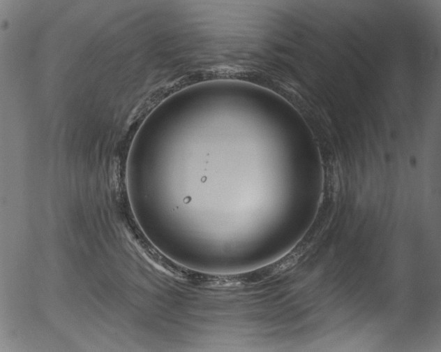 X0000056370760200508291401