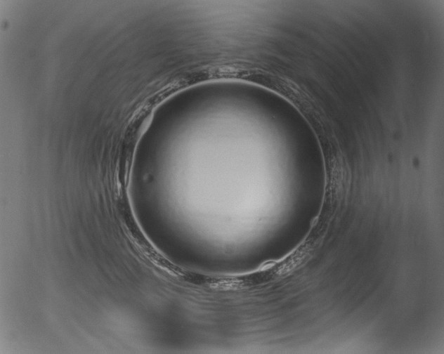 X0000056370761200508291401