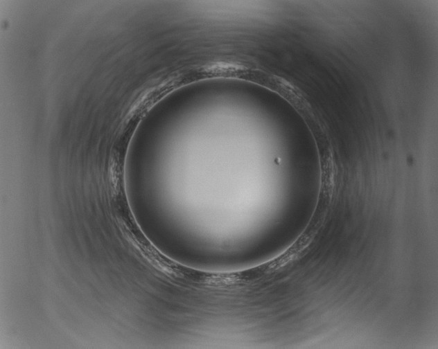 X0000056370762200508291401