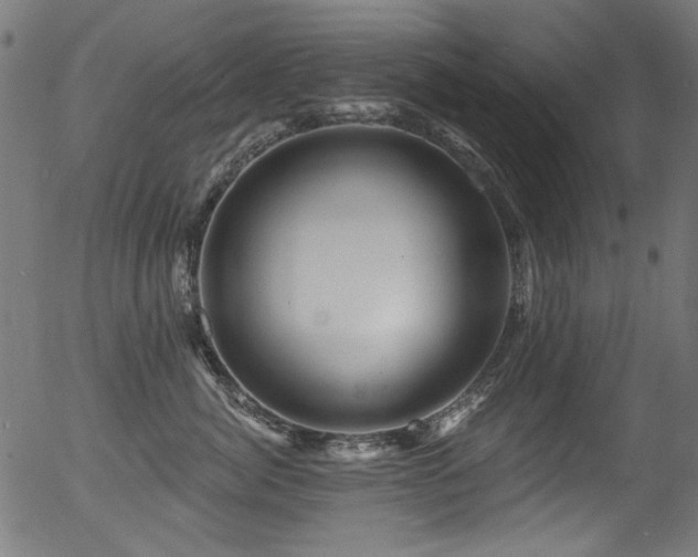 X0000056370764200508291401