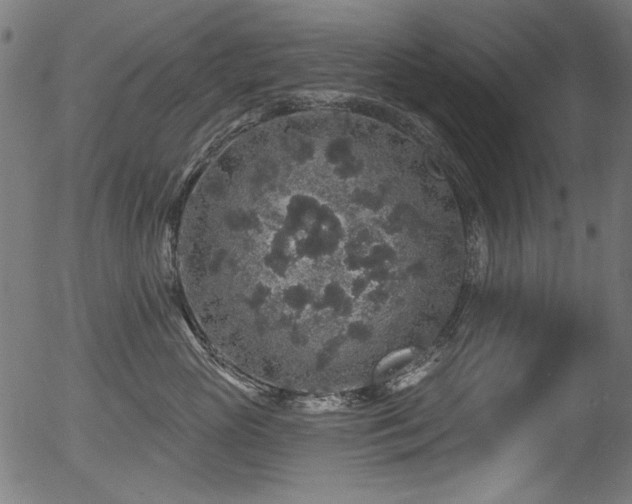 X0000056370765200508291401