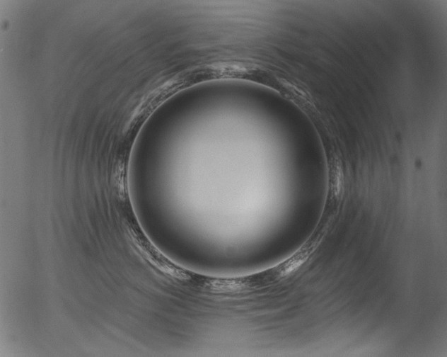 X0000056370766200508291401