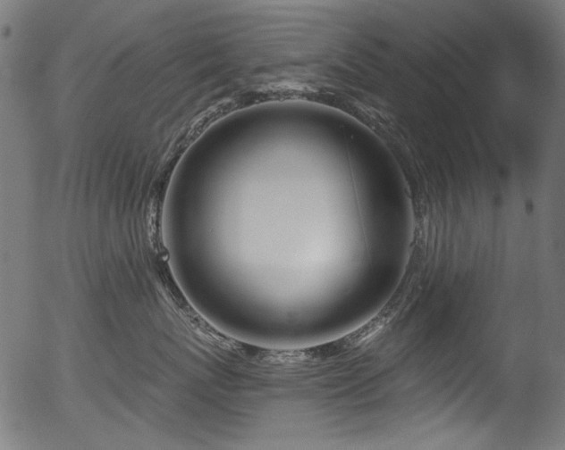 X0000056370767200508291401