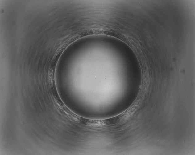 X0000056370768200508291401