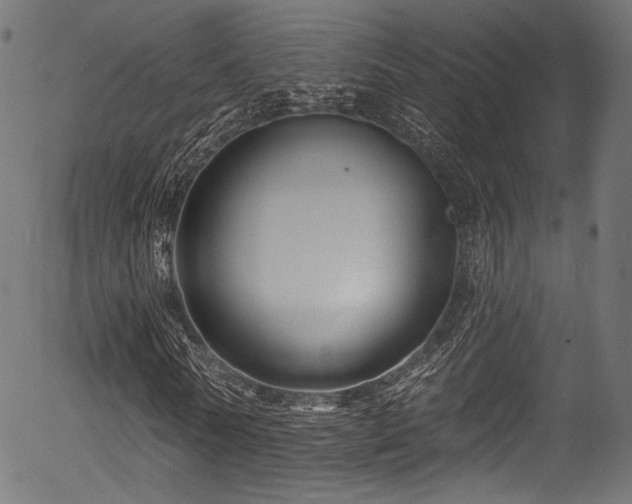 X0000056370770200508291400