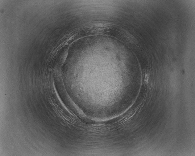 X0000056370771200508291400