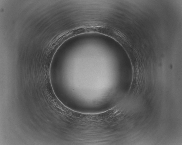 X0000056370773200508291359