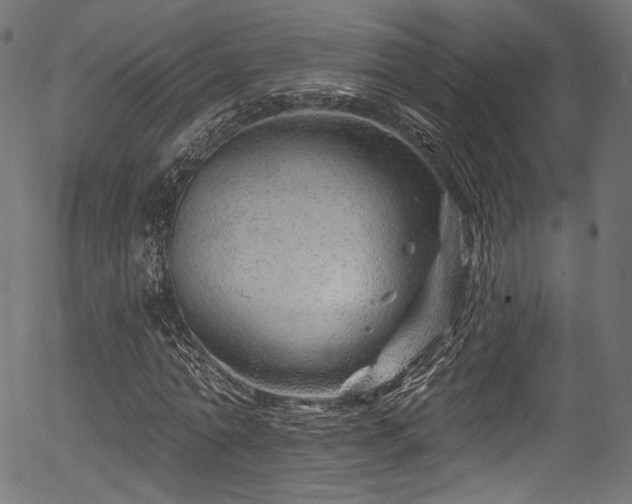 X0000056370774200508291359