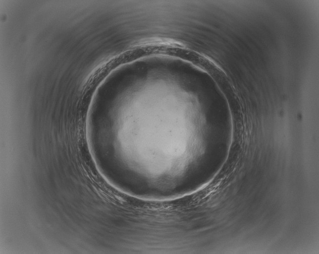 X0000056370775200508291359