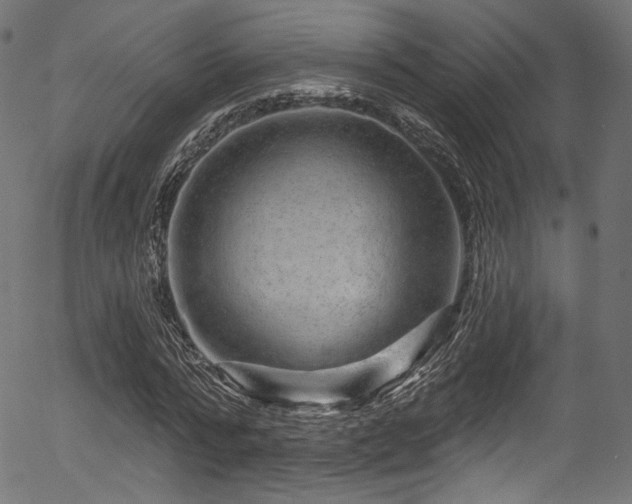 X0000056370776200508291359