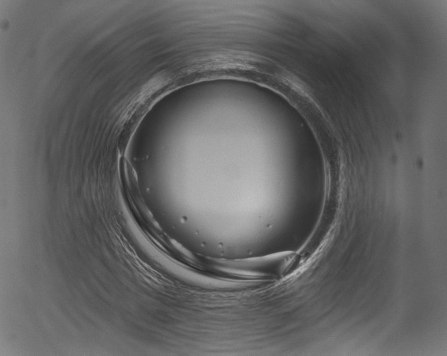 X0000056370777200508291359