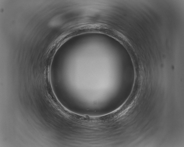 X0000056370778200508291359