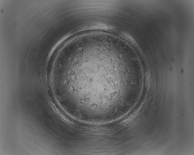 X0000056370780200508291359