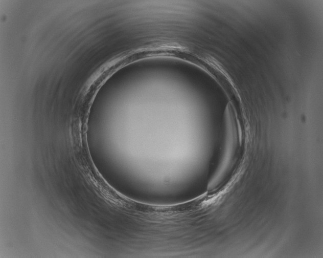 X0000056370781200508291359