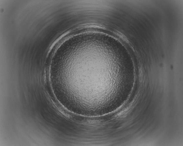 X0000056370782200508291359