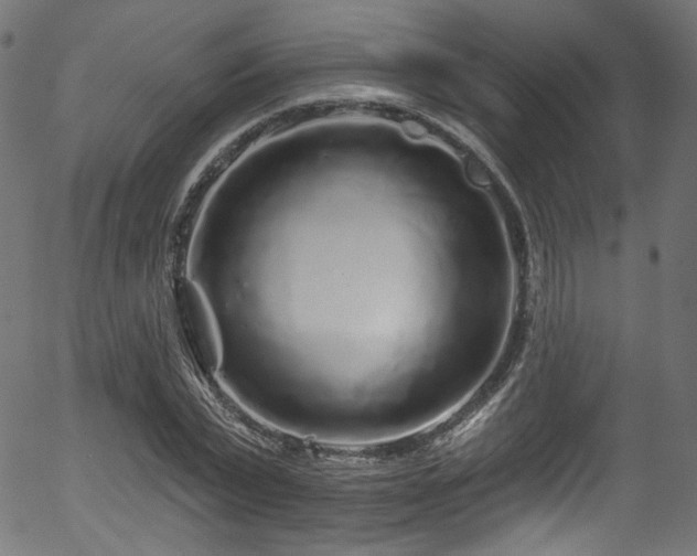 X0000056370783200508291359