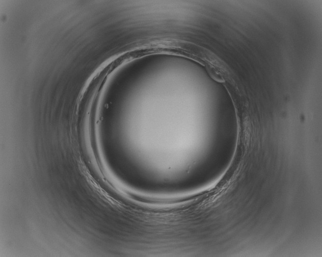 X0000056370784200508291359