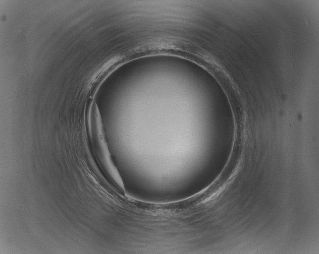 X0000056370785200508291359