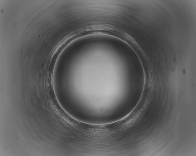 X0000056370786200508291359