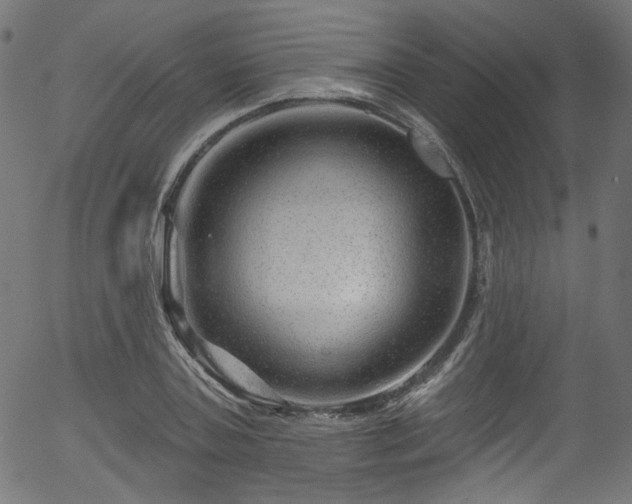 X0000056370787200508291359