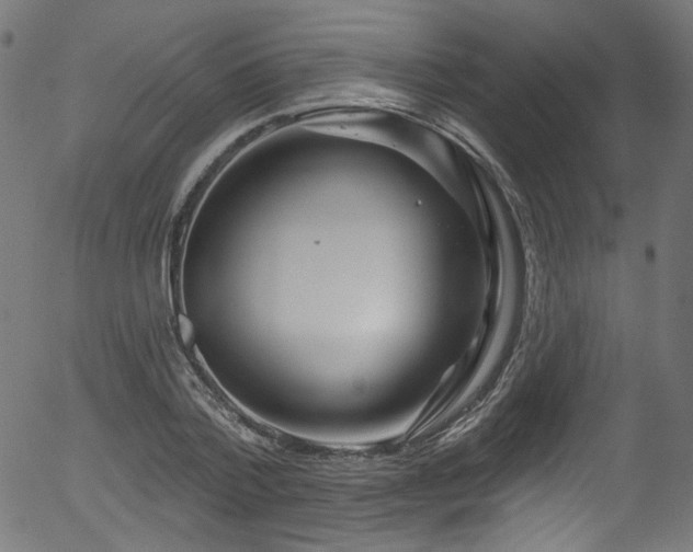 X0000056370788200508291359