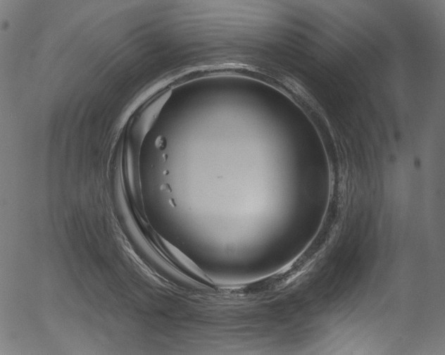 X0000056370789200508291359