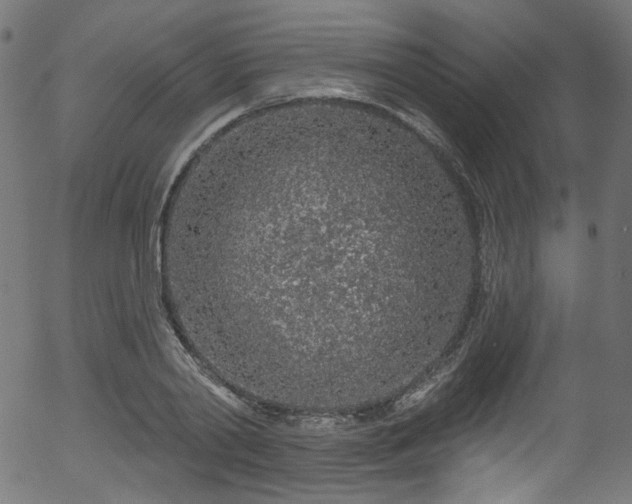 X0000056370790200508291359