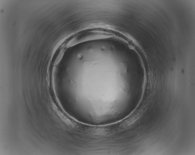 X0000056370791200508291359