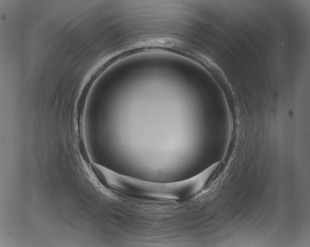 X0000056370792200508291359