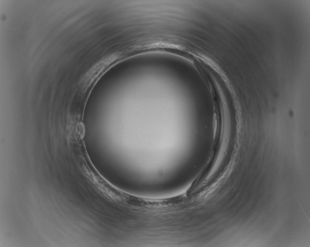 X0000056370793200508291359