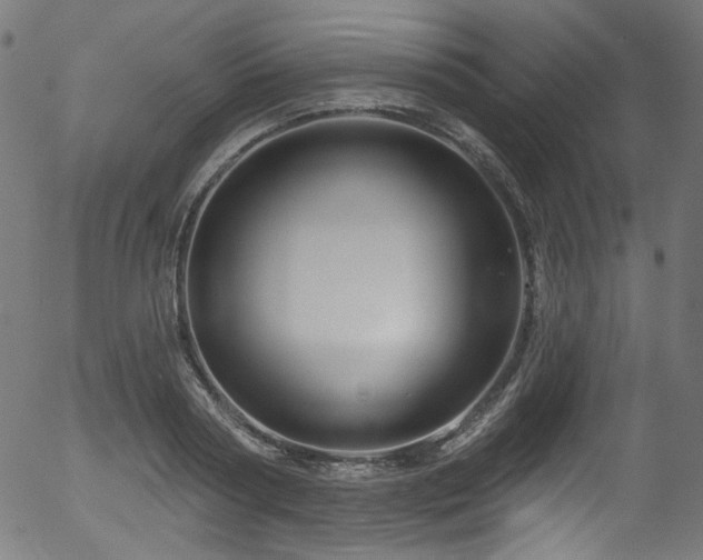 X0000056370794200508291359