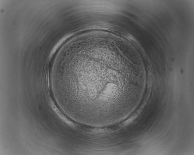 X0000056370796200508291359