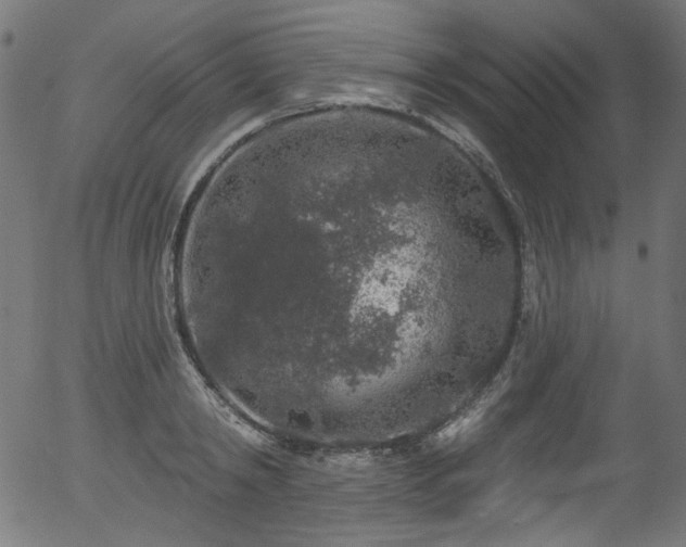 X0000056370798200508291359