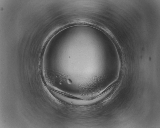 X0000056370799200508291359