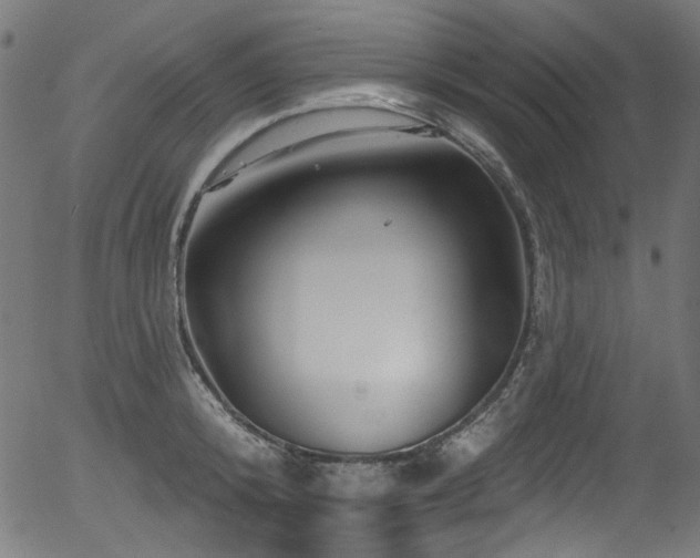 X0000056370800200508291359