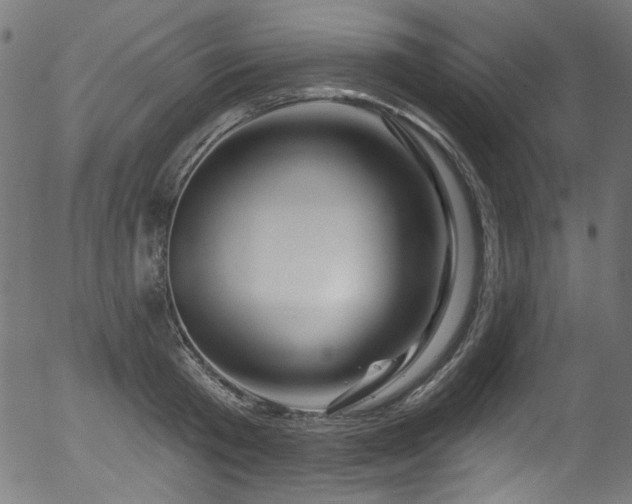 X0000056370801200508291359