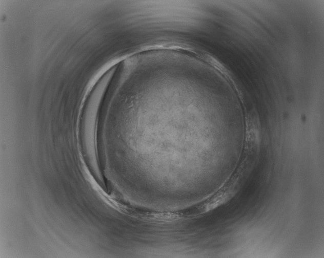 X0000056370803200508291359