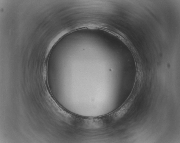 X0000056370804200508291359