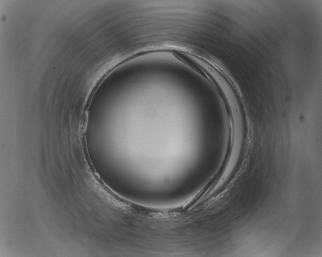 X0000056370805200508291359