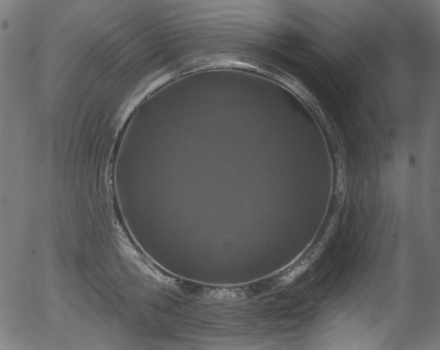 X0000056370806200508291359