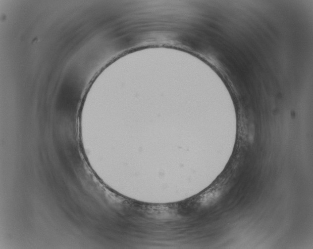 X0000056370807200508291359