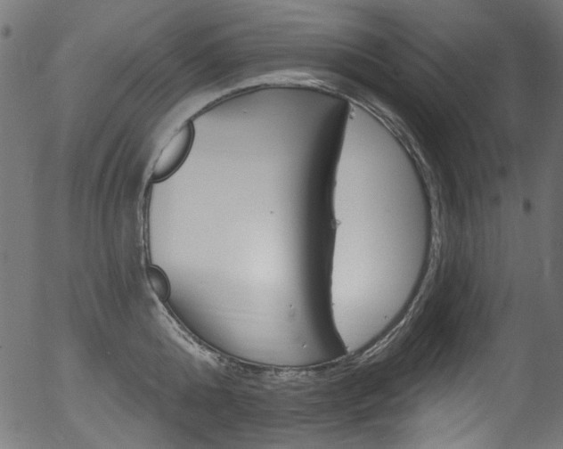 X0000056370808200508291359