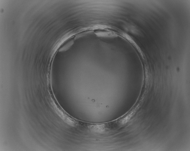 X0000056370810200508291359